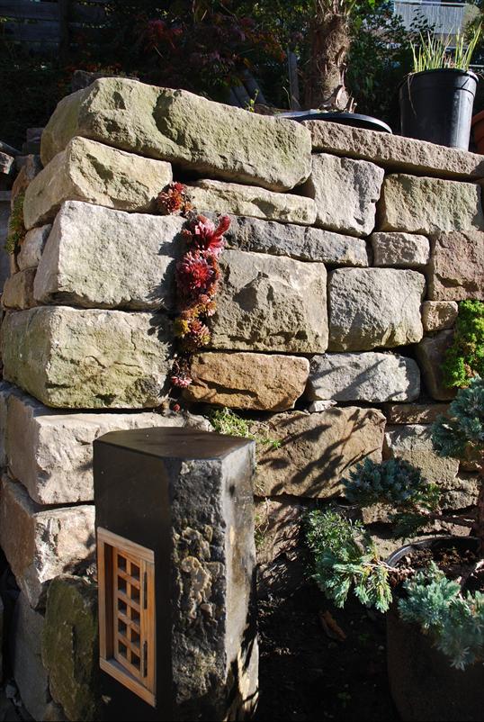 hausgarten 011